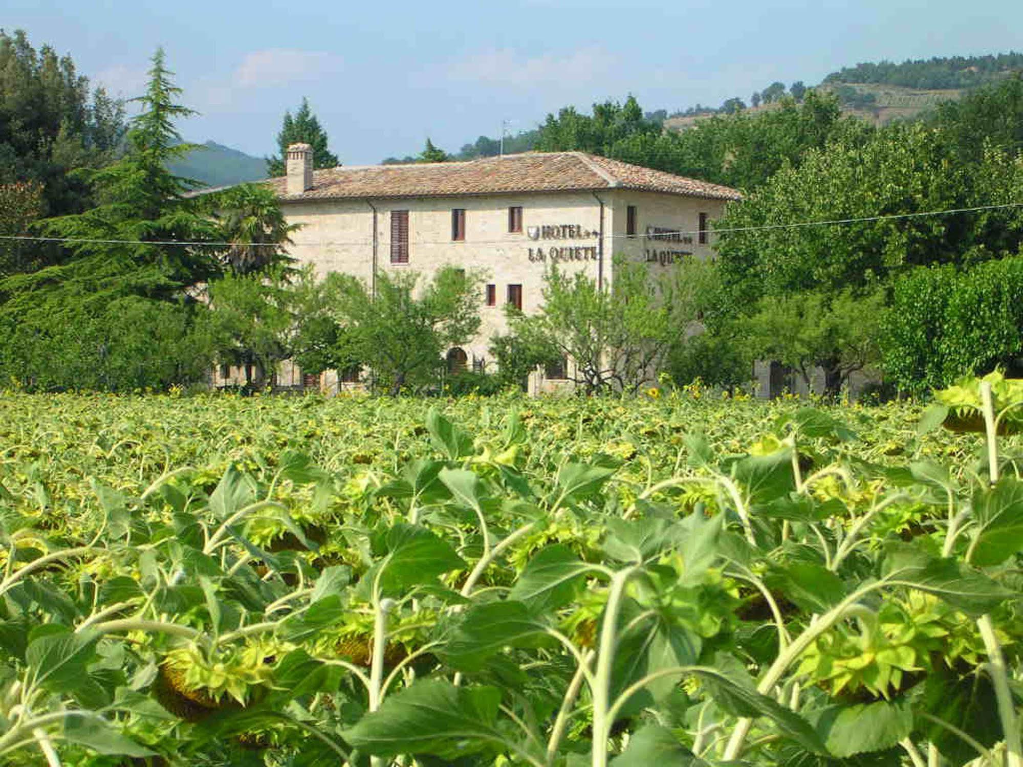Hotel La Quiete Assisi Exterior photo